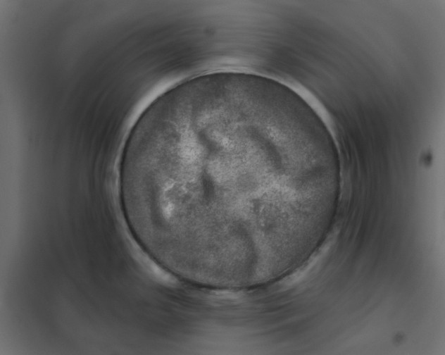X0000102021341200808081739