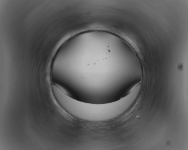 X0000102021342200808081739