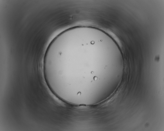 X0000102021343200808081739