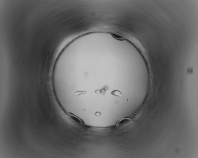 X0000102021344200808081739