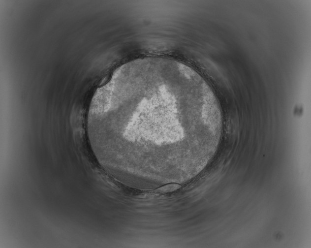X0000102021346200808081738