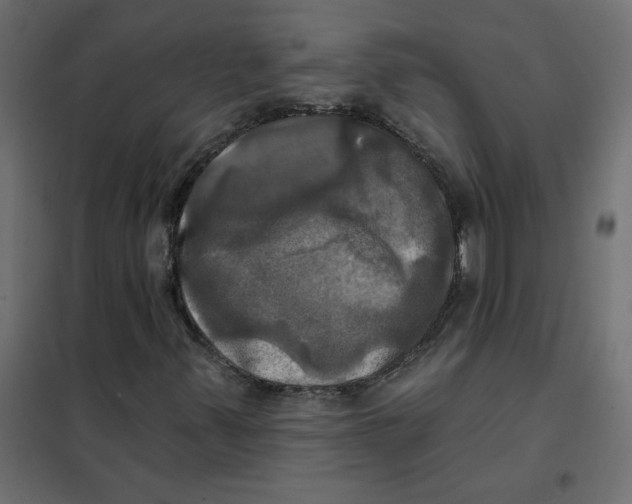 X0000102021347200808081738