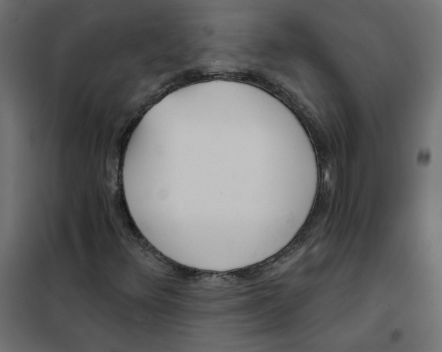 X0000102021348200808081738
