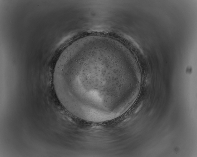 X0000102021350200808081738