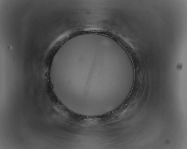 X0000102021351200808081738