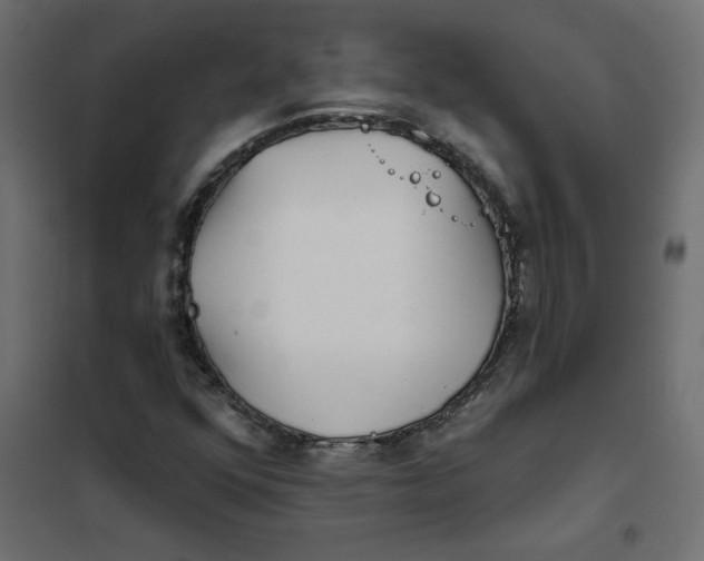 X0000102021352200808081738