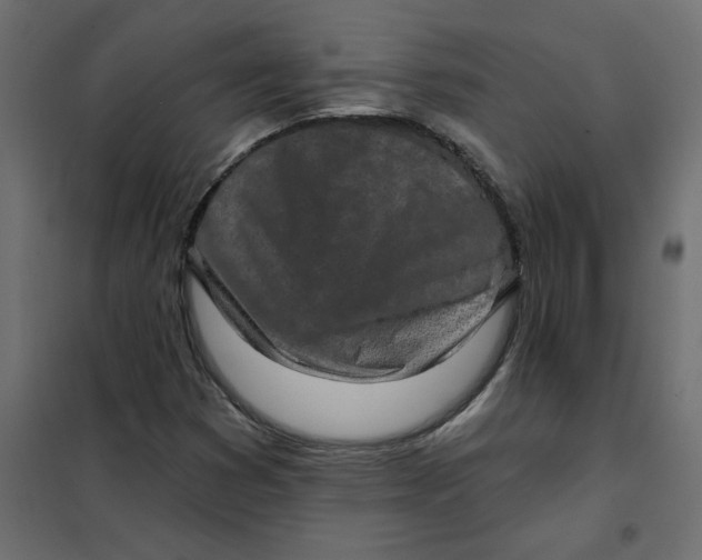 X0000102021353200808081738