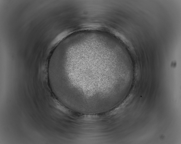 X0000102021354200808081738