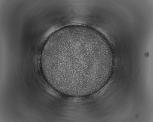 X0000102021355200808081738