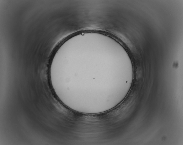 X0000102021356200808081738