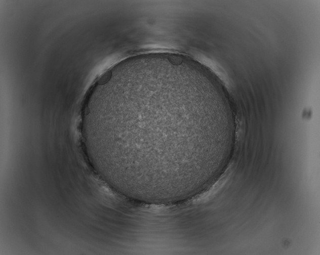 X0000102021357200808081738