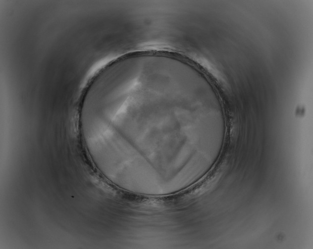 X0000102021358200808081738