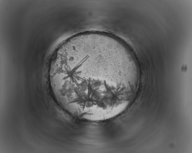 X0000102021359200808081738