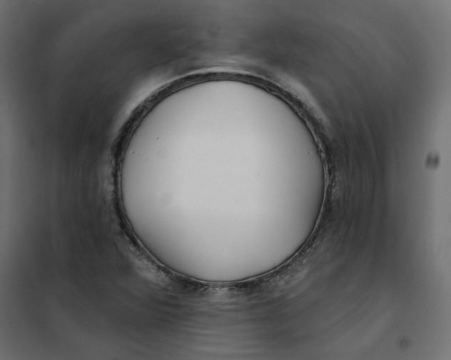 X0000102021360200808081738