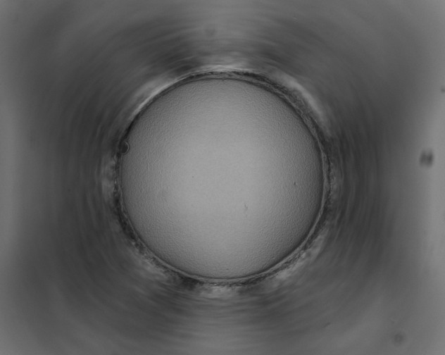 X0000102021361200808081738