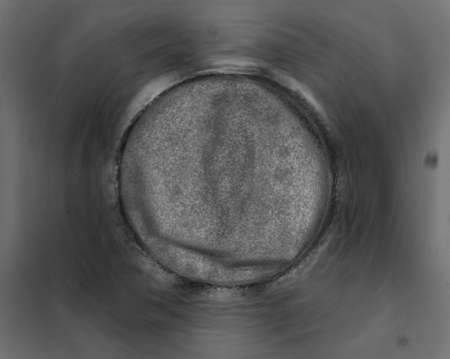 X0000102021362200808081738