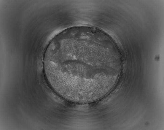 X0000102021363200808081738