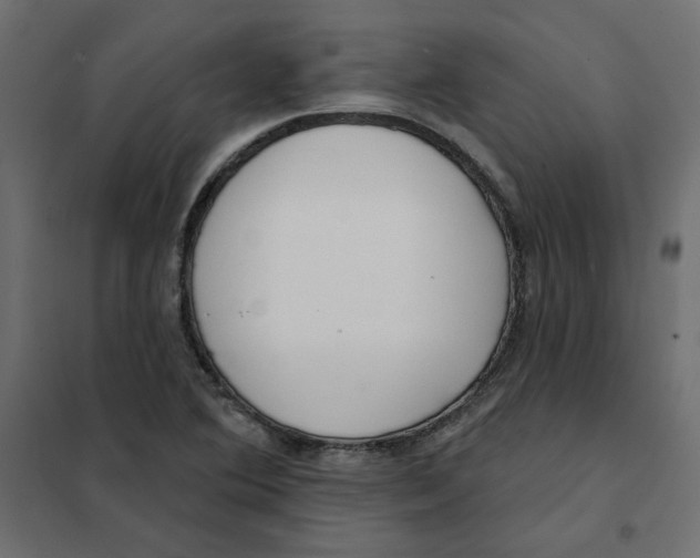 X0000102021364200808081738
