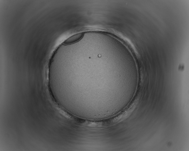 X0000102021365200808081738