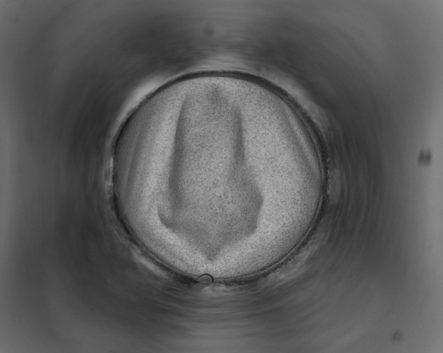 X0000102021366200808081738
