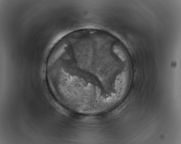 X0000102021367200808081738