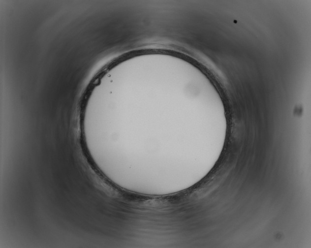 X0000102021368200808081738