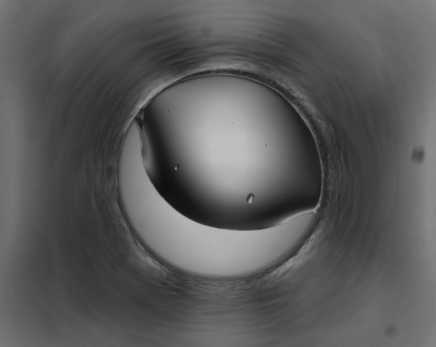 X0000102021369200808081738