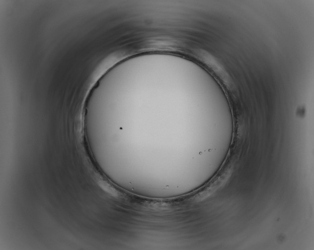 X0000102021370200808081738
