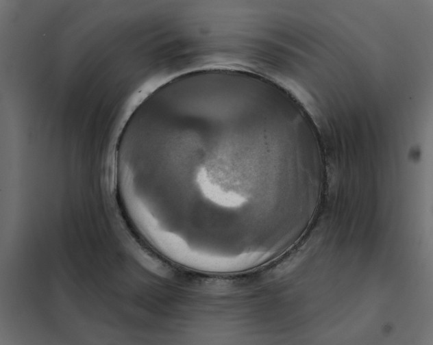 X0000102021371200808081738