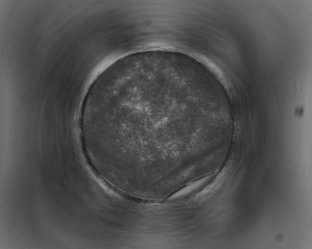 X0000102021373200808081738