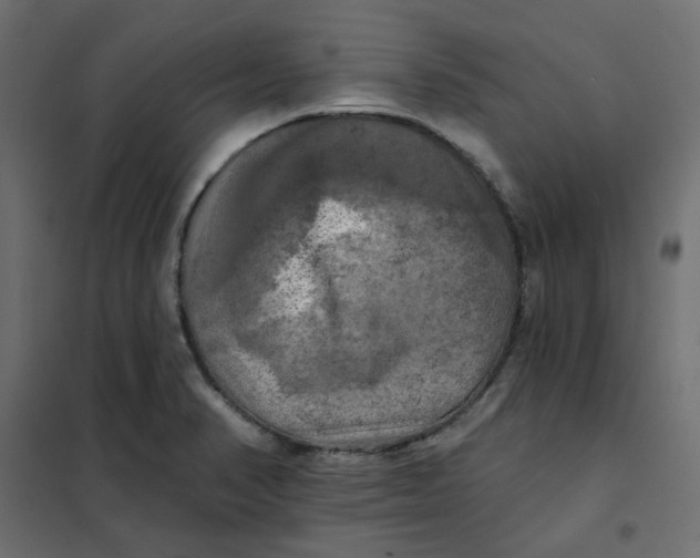 X0000102021374200808081738