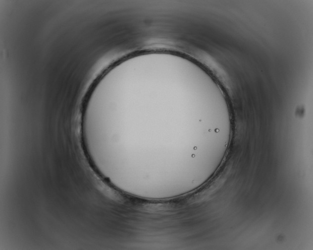 X0000102021376200808081738
