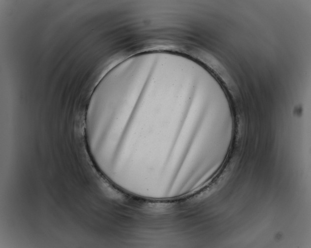 X0000102021377200808081738