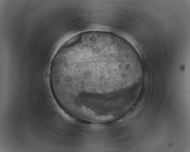 X0000102021379200808081738