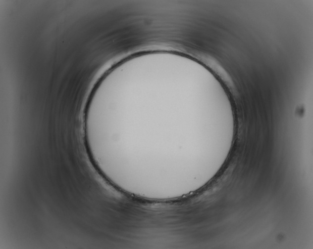 X0000102021380200808081738