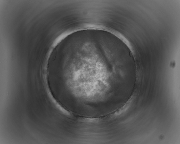 X0000102021381200808081738