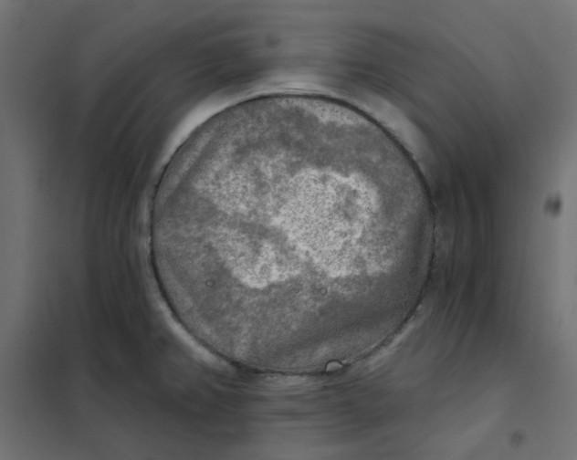 X0000102021382200808081738