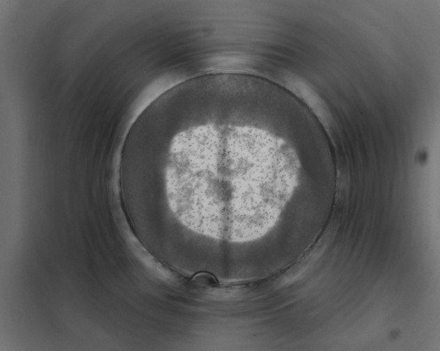 X0000102021386200808081738