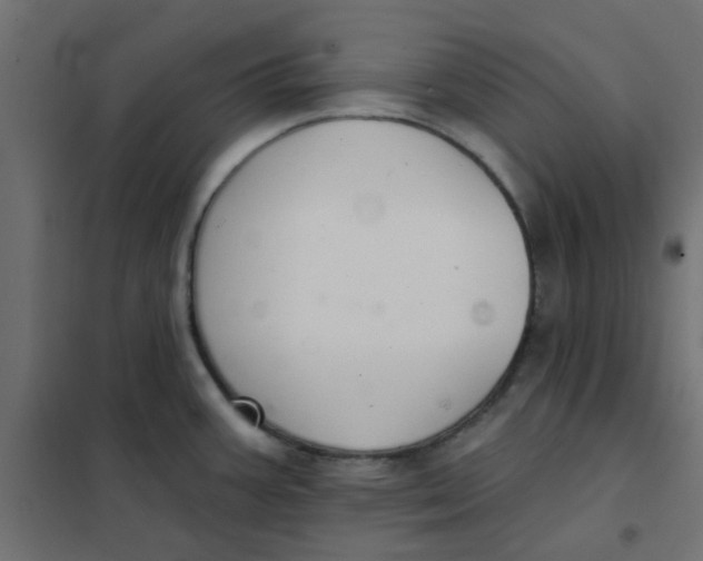 X0000102021387200808081738