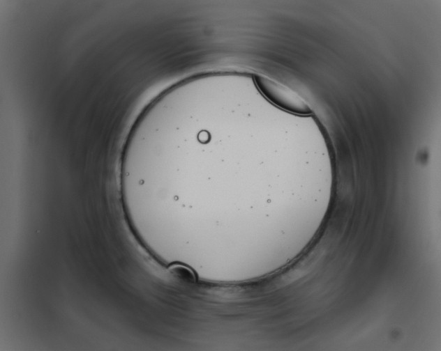 X0000102021388200808081738