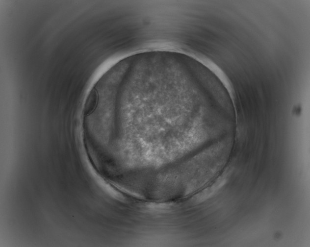 X0000102021389200808081738