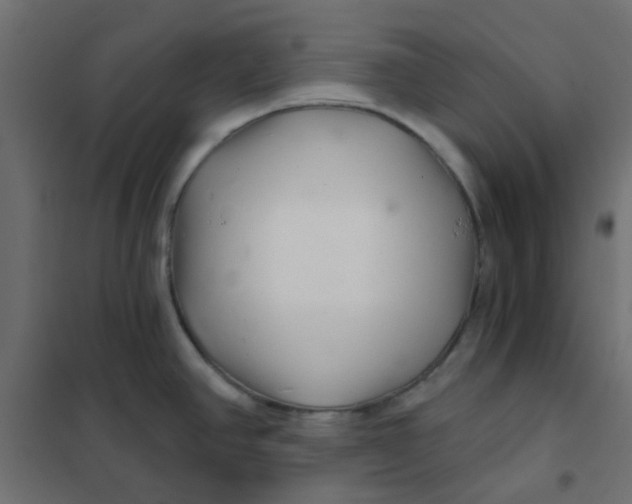 X0000102021390200808081738
