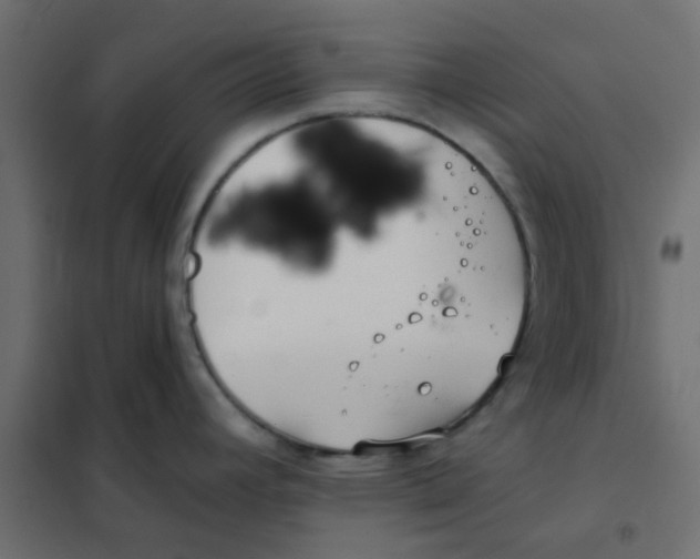 X0000102021392200808081738