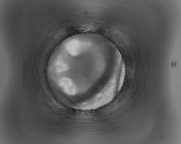 X0000102021393200808081737