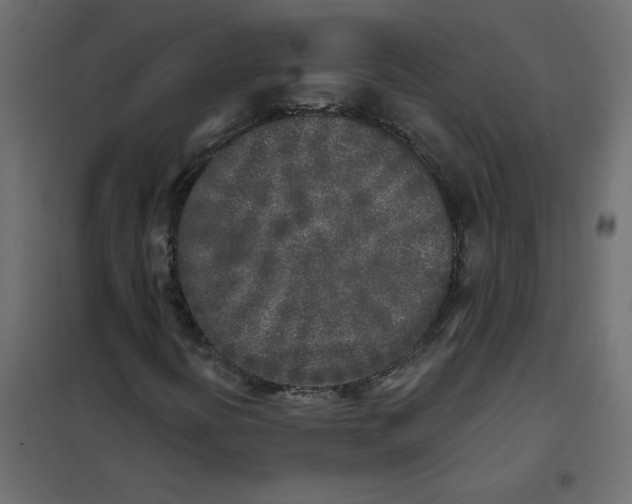 X0000102021394200808081737