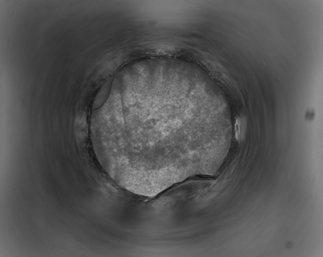 X0000102021395200808081737