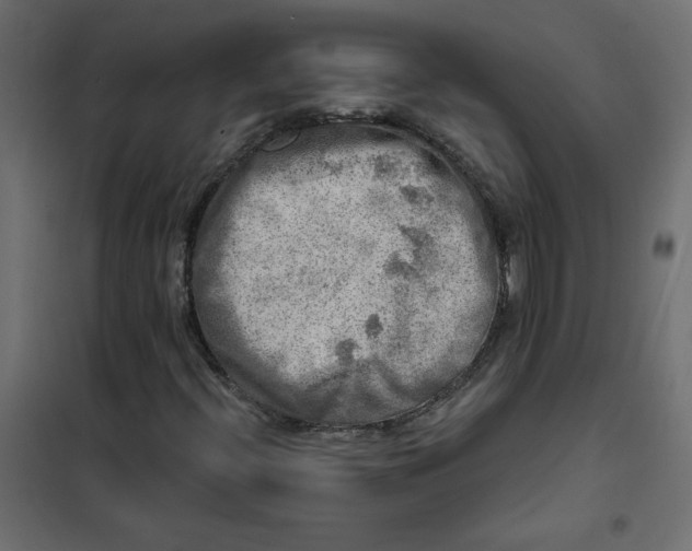 X0000102021396200808081737