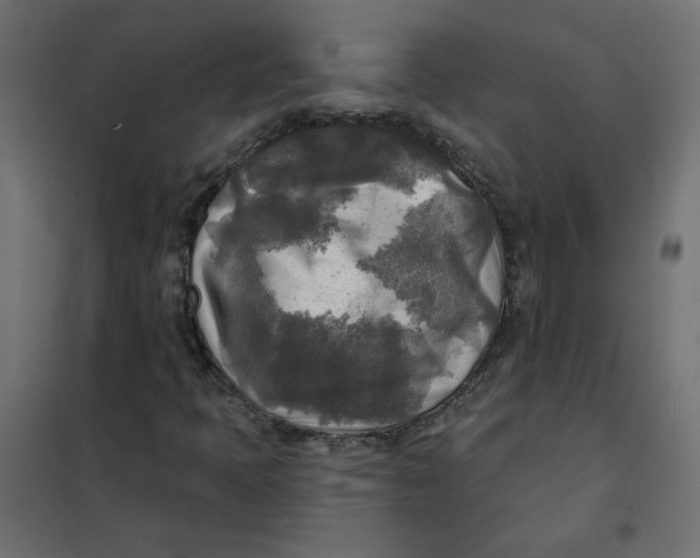 X0000102021397200808081737