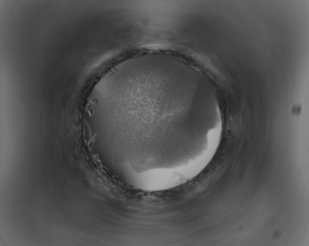 X0000102021398200808081737