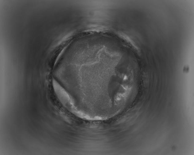 X0000102021399200808081737